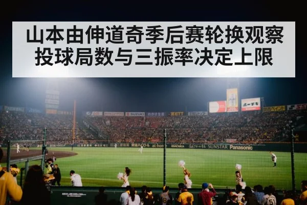 baseball stadium night lights